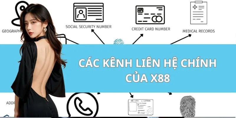 Các kênh liên hệ chính của X88