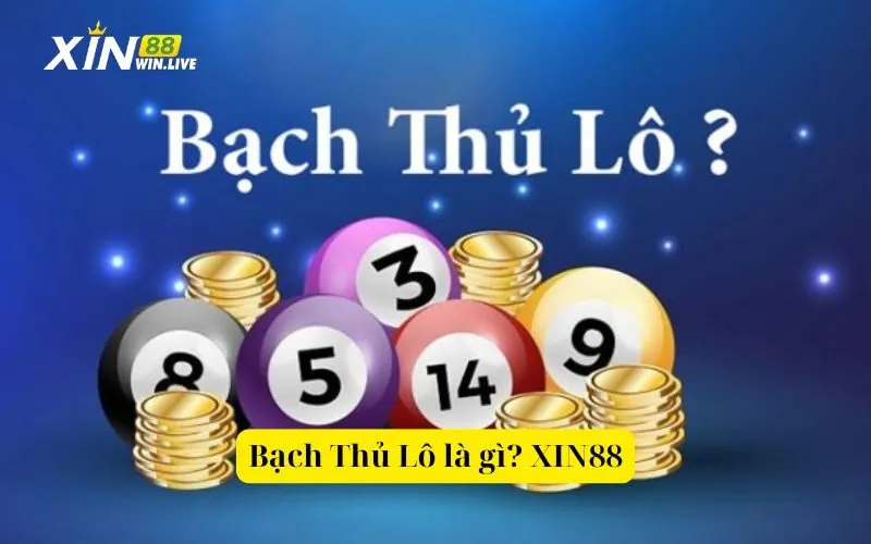 Bạch Thủ Lô là gì? XIN88