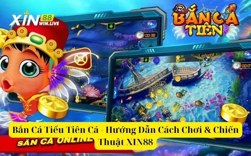 Bắn Cá Tiểu Tiên Cá - Hướng Dẫn Cách Chơi & Chiến Thuật XIN88