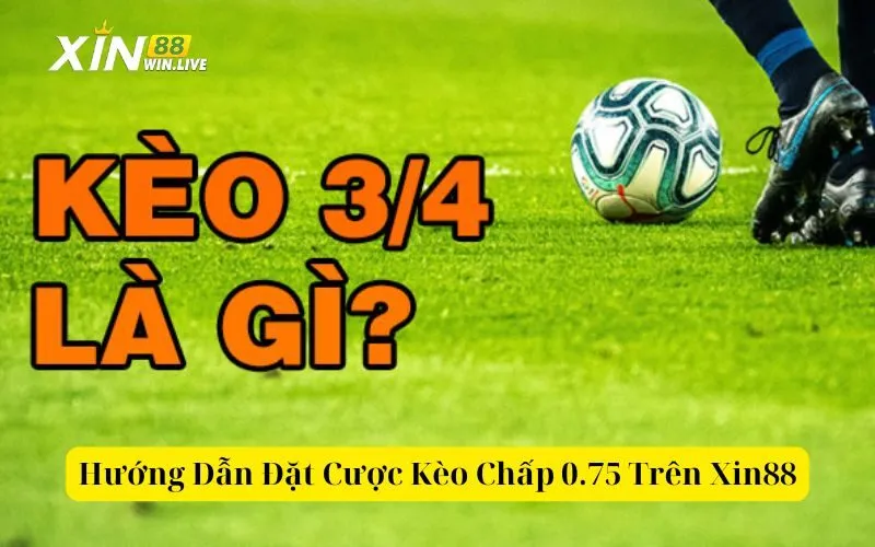 Hướng Dẫn Đặt Cược Kèo Chấp 0.75 Trên Xin88