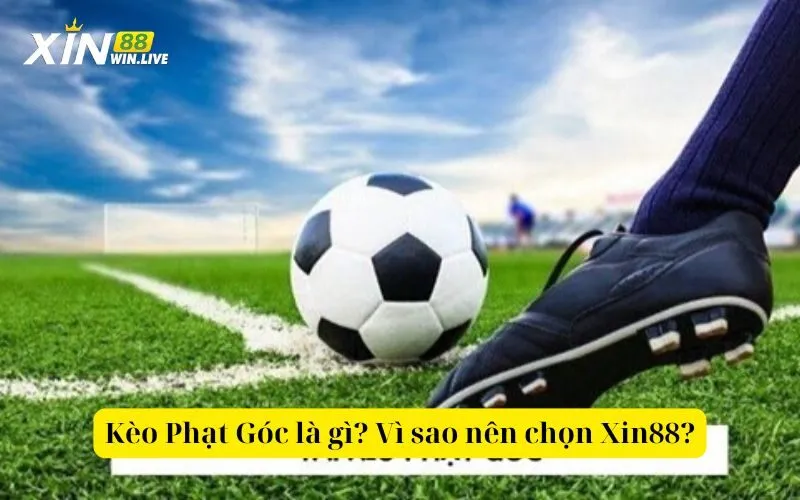 Kèo Phạt Góc là gì Vì sao nên chọn Xin88