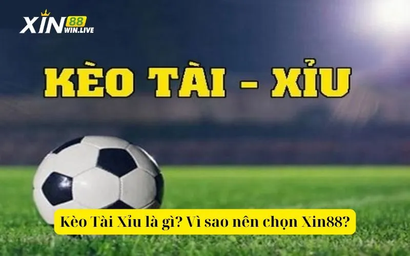 Kèo Tài Xỉu là gì Vì sao nên chọn Xin88