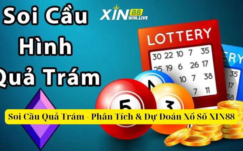 Soi Cầu Quả Trám - Phân Tích & Dự Đoán Xổ Số XIN88