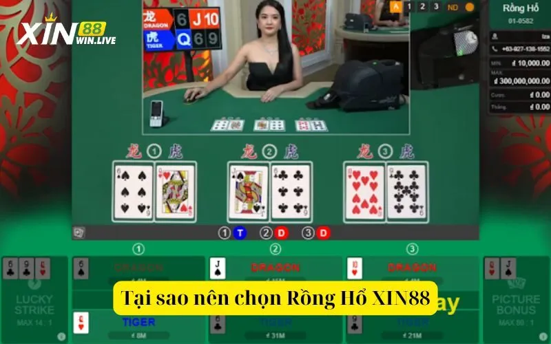 Tại sao nên chọn Rồng Hổ XIN88