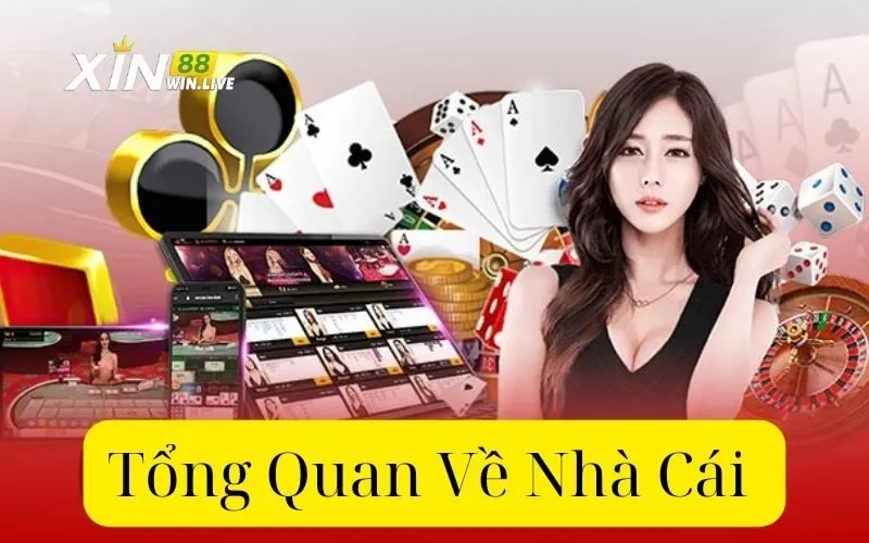 Tổng Quan Về Nhà Cái